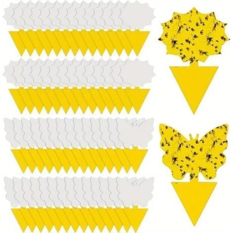 50 trappole per mosche per piante, trappole per insetti, trappole per mosche da cucina, protezione adesiva bifacciale (1/4)