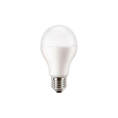 Ampoule LED E27 Standard - Dépolie - Blanc froid - 2700K - 100W
