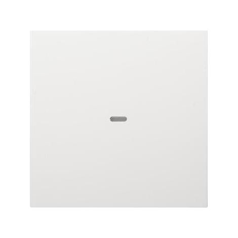 Berker Abdeckung 1f. Tastsen.-Modul S/B pw 80960289 (1/5)
