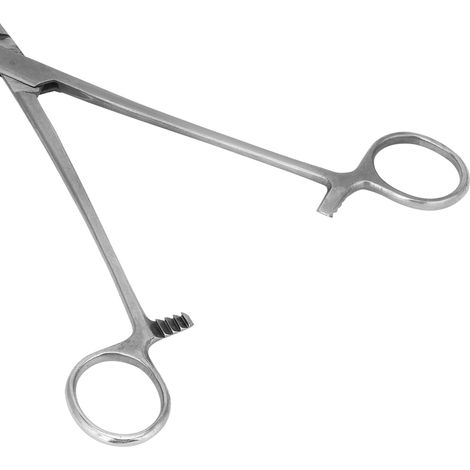 Pince hémostatique chirurgique portable en acier inoxydable 22cm/8.7in avec embout courbe, pour élevage et pêche, nouvelle, 1 unité. (1/5)
