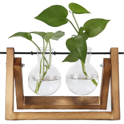 GARRYFIZH Terrarium de plantes avec support en bois, Vase en verre, jardinière de bureau pour la décoration de la maison et du bureau (cadre en bois, 2 bouteilles)