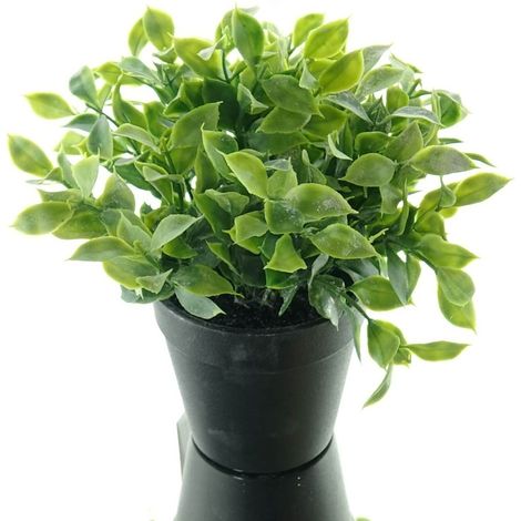 GASPER Ruscus Grün breiter Pflanzenaufbau schwarzer Topf 20 cm - Kunstpflanzen