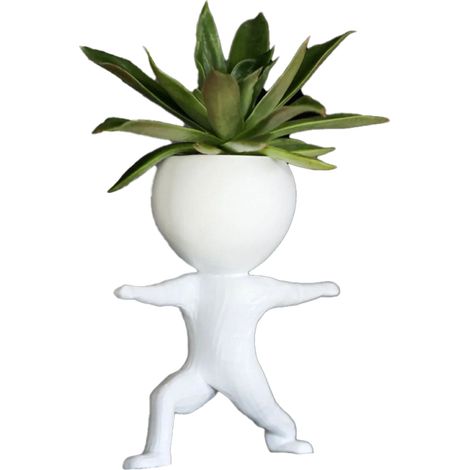 Jolis pots de fleurs pour plantes succulentes, décoration créative pour tapis de course, yoga, musculation, bureau, maison, petits pots (1/5)