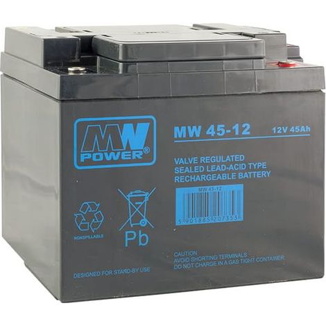 MW 45-12: batteria AGM 12V/45Ah, 198166171 (T16)