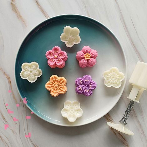 Moule à gâteau de lune de 50 g en forme de cerise, motif dessin animé, à faire soi-même pour la Fête de la Mi-Automne