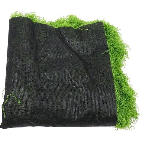 Mousse Artificielle Réaliste en Mousse Verte Légère pour Décoration Intérieure et Extérieure Finition Soignée Epe Fine et Solide (1/5)