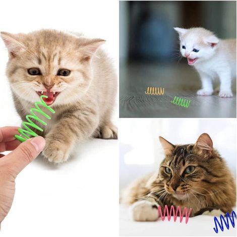 24 Pièces Jouets de Printemps pour Chats, Coloré Jouet Ressorts Chat, Jouets de Ressorts en Spirale en Plastique Interactif Chat (1/5)