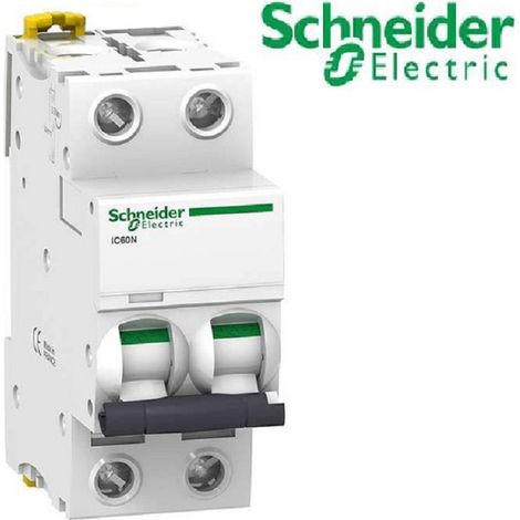 Schneider Electric – Disjoncteur bipolaire 32A courbe D – 2P – 10kA – bornes à vis – pour installation sur rail DIN