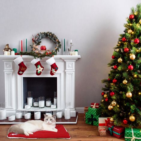 Weihnachtliche Haustiermatte, dickes Kissen mit Hirschmotivstickerei, reißfest für Katzen, Größe L 70 x 55 cm (1/5)