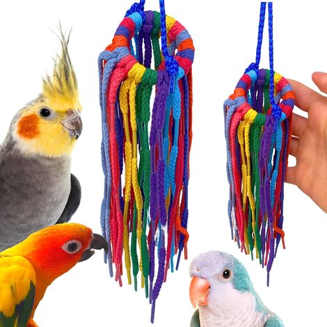 Plastic Aglets and 2" Ring for Parakeets Cockatiels Quakers Pionus Small Bird Enrichment