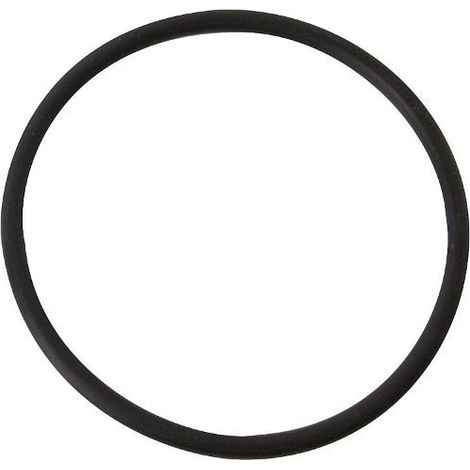 SYR O-Ring zum DUO DFR/Syr ab 2012, 2350.00.907