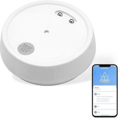 IP66 WLAN-Wasserleckmelder mit 100 dB Alarm Kompatibel mit der Tuya/Smart Life App, Wassersensor-Alarm, für Küche, Bad, Keller (1/5)