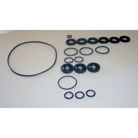 KIT TENUTE ACQUA-OLIO POMPA IDROPULITRICE ANNOVI REVERBERI BLACK&DECKER 2735 (1/2)