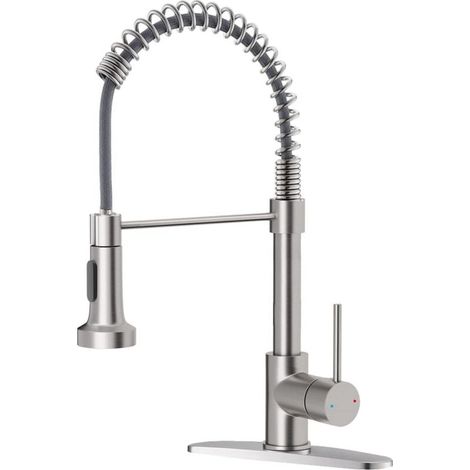 Robinet de cuisine avec douchette extractible, finition nickel brossé, robinet d'évier classique en acier inoxydable.