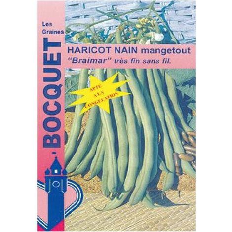 Haricot nain mangetout 'Braimar' le sachet de 225 graines (90g)