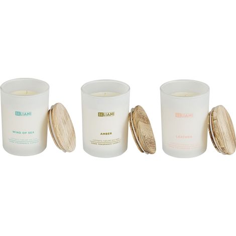 Set di 3 candele profumate 100% cera di soia Stoppino di cotone Vetro bianco Fragranza Pelle/Vento di Mare/Ambra Vetro classico