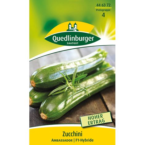 Quedlinburger Saatgut – Courgette Ambassador – Graines de légumes, variété non coureuse à fruits vert foncé, hauteur env. 50 cm (1/2)