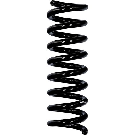 Molla posteriore Eibach ERL per Mercedes-Benz R10085 (1/2)