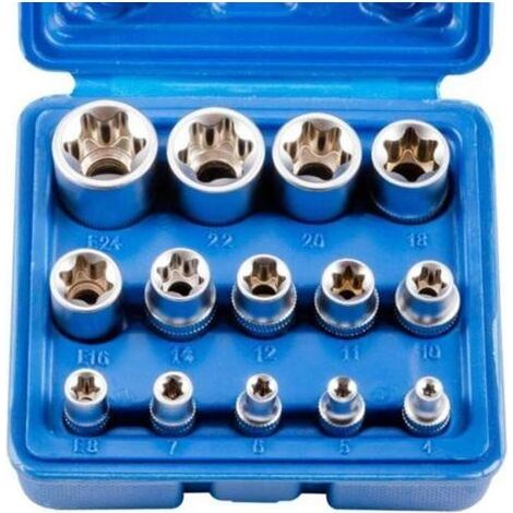 Lot de 14 douilles Torx femelles E4-E24, hexagonales E-Torx Crezuo (1/4)