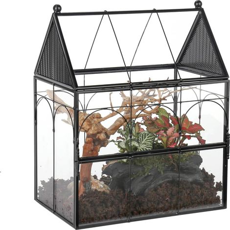 19x12,5x23 cm Enclos en Verre avec Trous d'aération pour Insectes, araignées, Petite Porte fermée à Ouverture sur Le Devant, Habitat en Forme de Maison (Terrarium Uniquement) (1/5)
