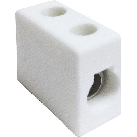 Rs Pro – Bornier de raccordement électrique 1 pôle à visser – Section câble 16mm² – Courant 30A, max 76A – Lot de 10 unités