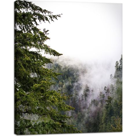 Leinwanddruck Natur Berge Nebelwald 40x50 cm