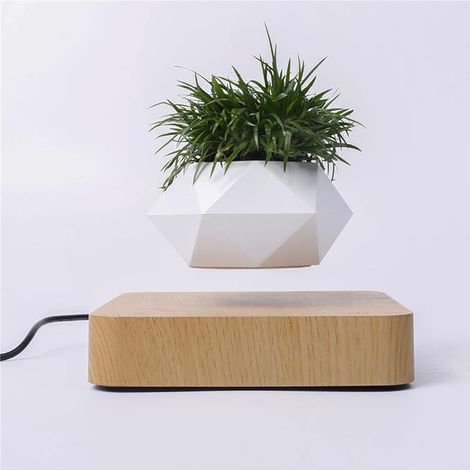 Plante Lévitation Plante Flottant Air Bonsaï Jardinière Pot Fleur Suspension décoration Bureau (1/5)