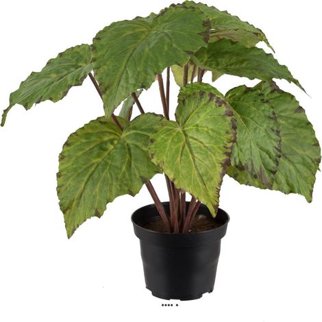 Bégonia royal artificiel en pot, H 30 cm D 25 cm Vert - couleur: Vert