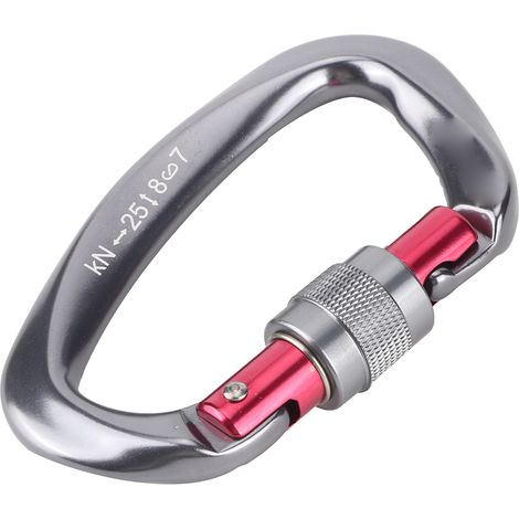Aluminium-D-förmiger Karabinerhaken, Outdoor-Kletterhaken, Hängehaken, Schlüsselanhänger, Werkzeug, 25 kN (Grau) (1/5)