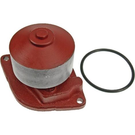Bomba de agua VAPORMATIC VPE1060
