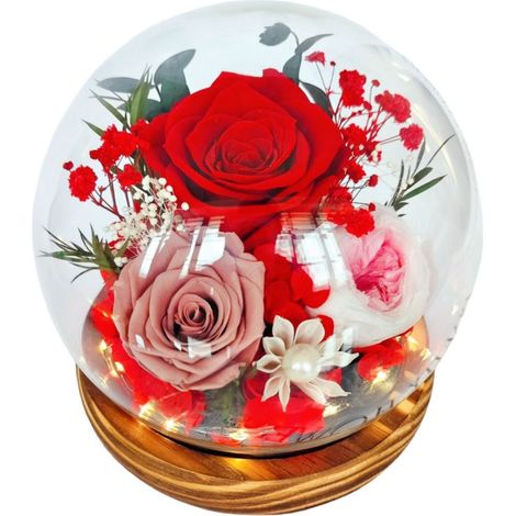 Flores preservadas bajo una cúpula de cristal: regalos para tu novia/esposa en el Día de Qixi, San Valentín, Navidad, graduación o cumpleaños.