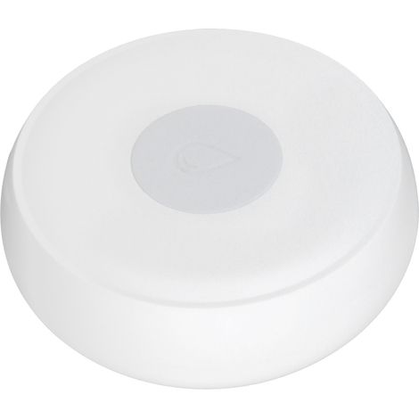Détecteur de fuite d'eau intelligent sans fil 2.4 GHz - Alerte précoce pour sécurité maison (1/5)