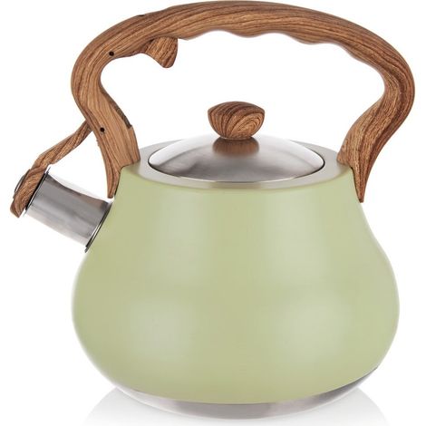 Grünlicher Stahlpfeifkessel 3 l (1/5)