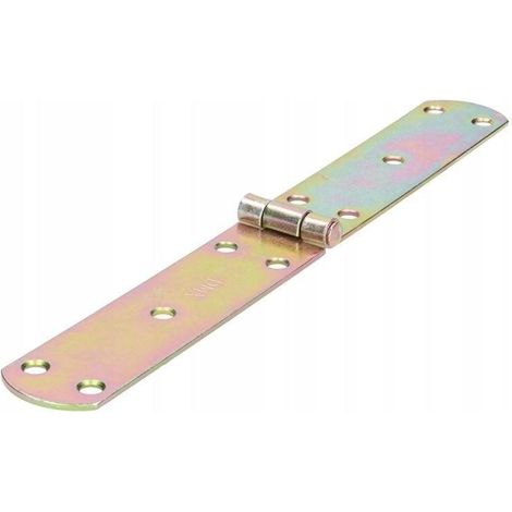 Domax HINGE 8077 charnière dorée robuste 300x38x2,5 mm (1/3)