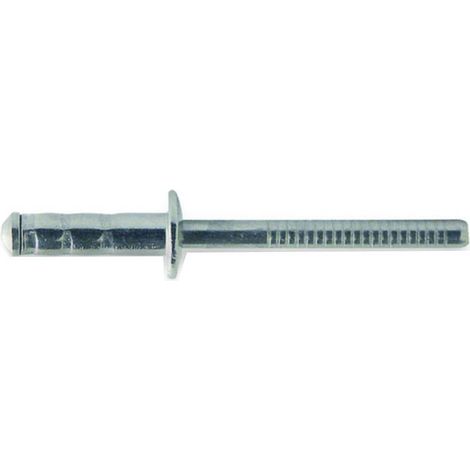 500 Rivets Aveugles Multiserrage Tête Ronde GOMULTI TRS 4 x 12 mm - Inox A2 - D-Work