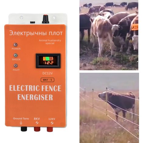 8-kV/12-kV-Hochspannungs-Energizer mit Alarm, Haustiersteuerung, 24 x 12 x 7,5 cm, ABS, 100–240 V AC/DC-Netzteil (1/5)