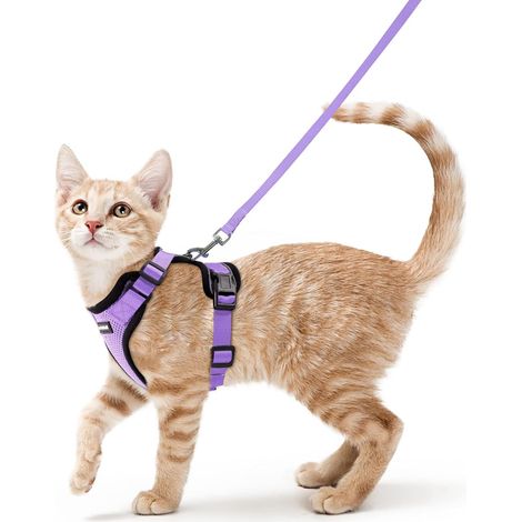 Harnais et laisse pour chat, harnais-gilet souple et réglable anti-fugue, facile à utiliser, respirant, à bandes réfléchissantes, violet clair, XS (1/5)
