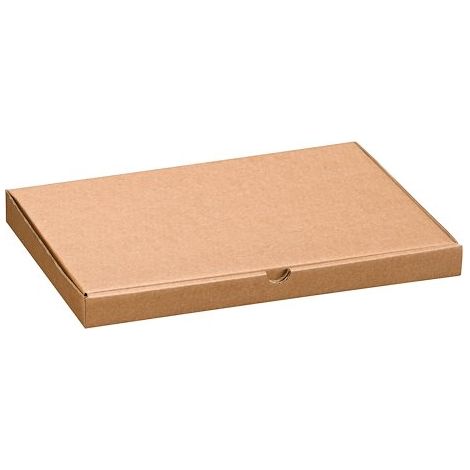 Boîte postale extra plate A4 - 30,5 x 22 x 2,5 cm - Lot de 50