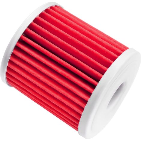 Filtre à huile compatible Suzuki FL125 SDW Address, RMZ250, RM-Z250 moto (1/5)