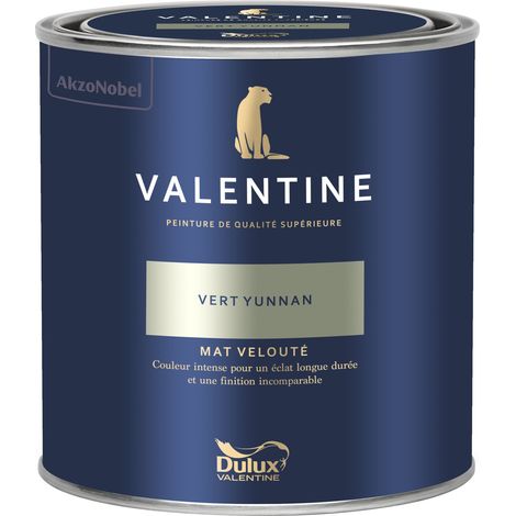 Dulux Valentine Peinture intérieure de haute qualité - Valentine - Couleur intense & pouvoir couvrant élevé - Mat Velouté Vert Yunnan 0,5 L