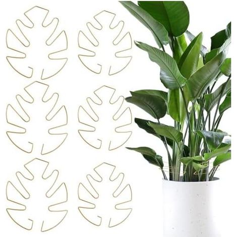 Set mit 6 Monstera-Kletterpflanzenstützen, Monstera-Blattstützen, für den Innenbereich, dekorative Stütze - (1/5)