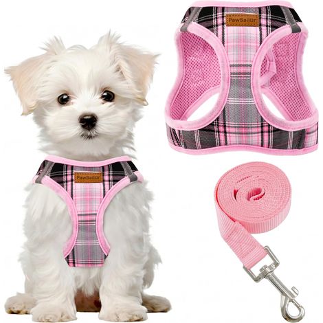 Harnais et laisse pour chien petit et moyen - Ensemble de promenade confortable et réglable, respirant et réfléchissant pour chiot et chaton (1/5)