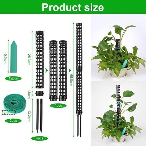 Pflanzenstütze – 6er-Set Rankstäbe für Topfpflanzen, 25 cm (1/4)