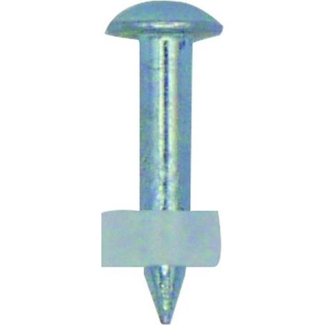 1 000 Pointes Acier Cp-C6 (Coil) - 2.5x16 mm TB - D-Work (1/5)