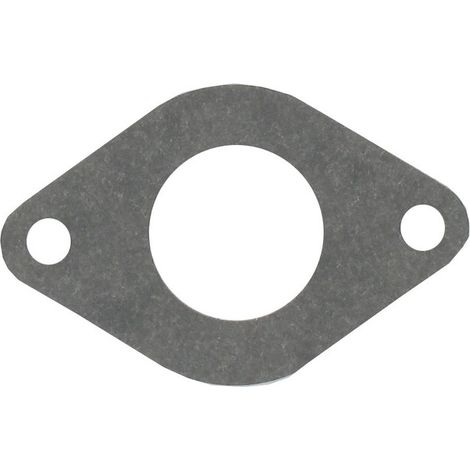 Guarnizione gomito di aspirazione BRIGGS ET STRATTON 690949
