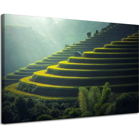 Lienzo impreso con paisaje natural y agrícola, 120x80 cm.