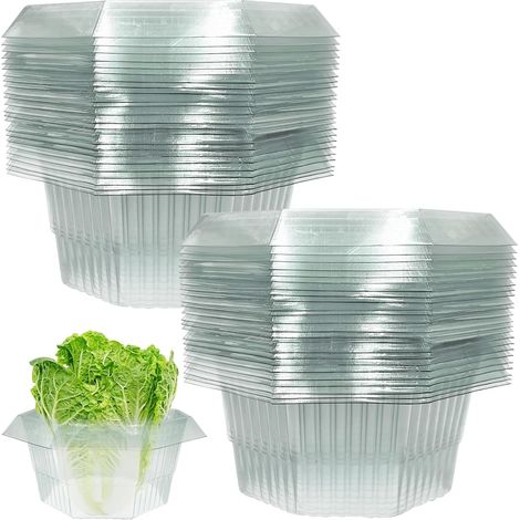Collier Anti-Limaces Lot 20 Anneaux Protection Plantes Légumes (1/5)