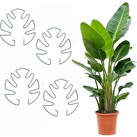 Monstera Pflanzenstützen Pflanzenkäfige Stützrahmen Runde Stützringe Kletterhilfen 4 teiliges Set 14 x 16 cm Robust und langlebig Wiederverwendba (1/5)