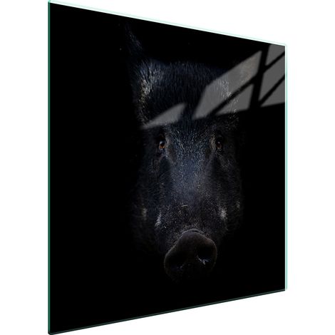 GLASSCHUTZPLATTE FÜR HERD 50x52 BOAR (1/5)