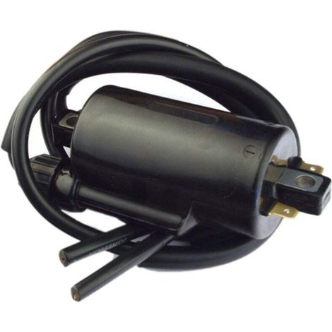 Bobine D'Allumage pour KZ1000 KZ1100 KZ1300 KZ500 KZ550 KZ650 KZ750 Z400 CB1000C CB1100F CB650 CB650C (1/4)
